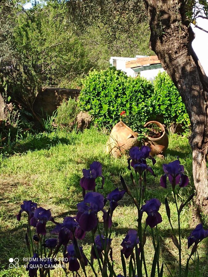 El Lucero Pensionat Alájar Exteriör bild